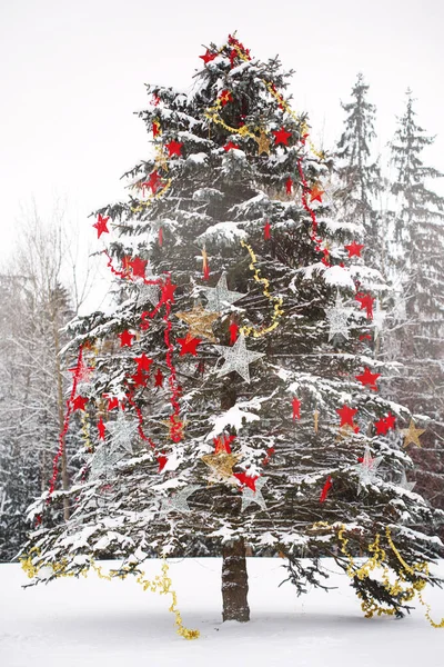 Рождественская Снежная Ель Украшена Звездами Открытом Воздухе Зимнем Лесу — стоковое фото