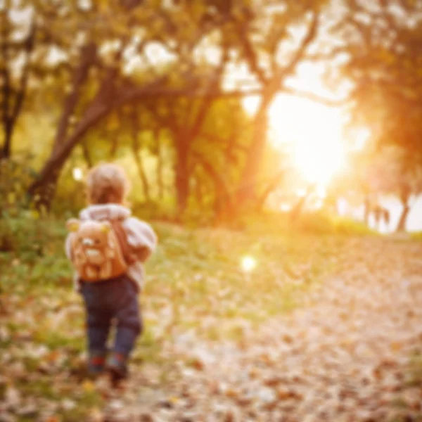 Pequeño niño caminando en el parque al atardecer — Foto de Stock