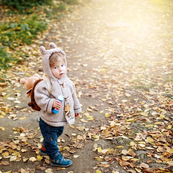 Lindo niño divertido en el parque de otoño divertirse —  Fotos de Stock