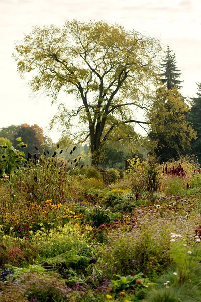 Bloeiende botanische tuin in de lente — Stockfoto