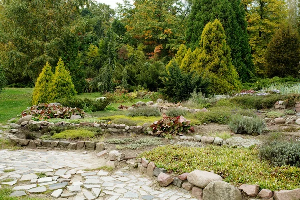 Alpine botanical garden with stone — Stock Photo, Image