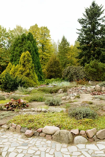 Botanische Alpentuin met steen — Stockfoto