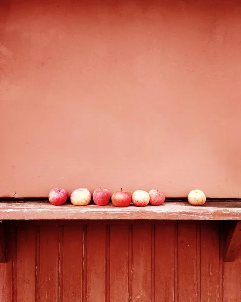秋の農場で新鮮なリンゴの収穫 — ストック写真