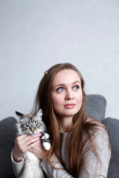 긴 머리를 가진 귀여운 고양이와 함께 있는 자신 감넘치는 젊고 매력적 인 여성의 확대 사진 — 스톡 사진