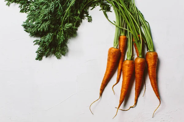 Just picked up fresh organic carrots on white background, close-