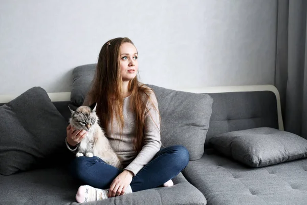 年轻时髦的女人和家猫坐在沙发上 社会距离 家庭隔离的概念 全身人像 — 图库照片