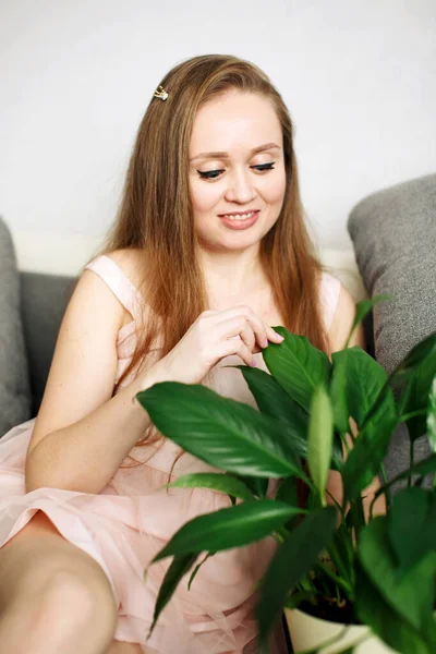 Young Happy Woman Home Sitting Sofa Green Fresh Houseplant Smiling Royalty Free Stock Photos