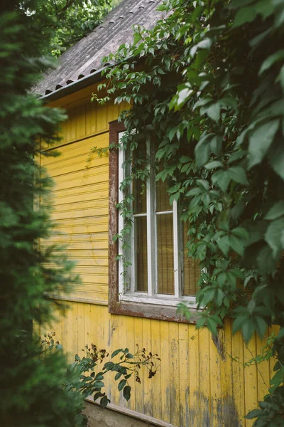 Gemütliches Kleines Gelb Gestrichenes Landhaus Inmitten Sattgrüner Bäume Und Sträucher — Stockfoto
