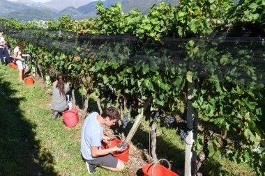 porza, İsviçre üzerinde lugano yakınındaki mahzeninde