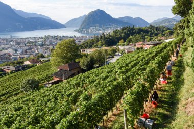 porza, İsviçre üzerinde lugano yakınındaki mahzeninde