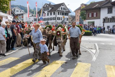 Çiftçiler ile inek sürüsü yıllık yaylacılıktan üzerinde