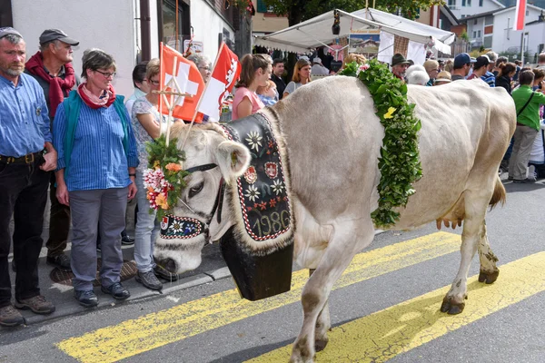 Cow decorated with flowers and flags — Stock Photo, Image
