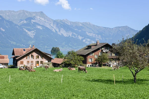 Vidéki tájat, a Jungfrau régióban Iseltwald — Stock Fotó