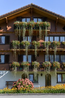 Wolfenschiessen'de çiçeklerle süslenmiş güzel dağ evi 