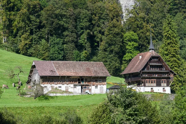 Vista rurale di una fattoria con bella casa a Wolfenschiessen — Foto Stock