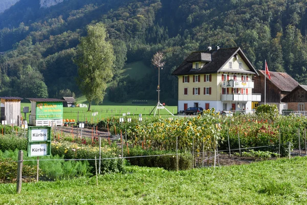 Ängen på en gård på Wolfenschiessen, Schweiz — Stockfoto