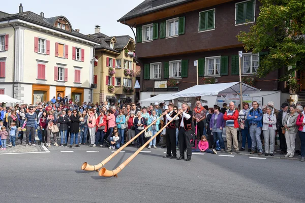 Persone che indossano abiti tradizionali e suonano l'alphorn — Foto Stock