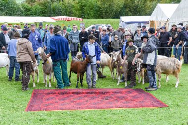 İnsanlar izliyor ve keçi markette tartışıyor 