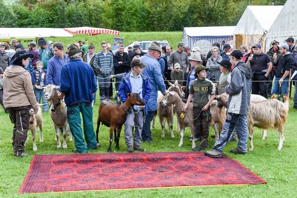 Persone che guardano e discutono al mercato delle capre — Foto Stock