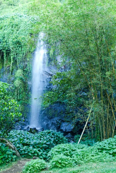 Tropische waterval van St. Rose — Stockfoto