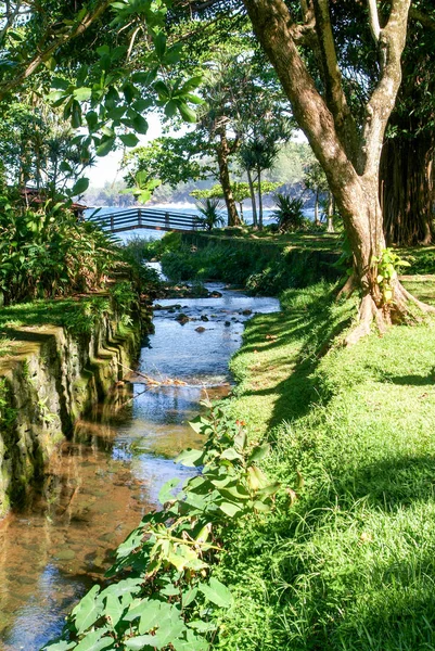 Tropical river of St. Rose — Stock Photo, Image