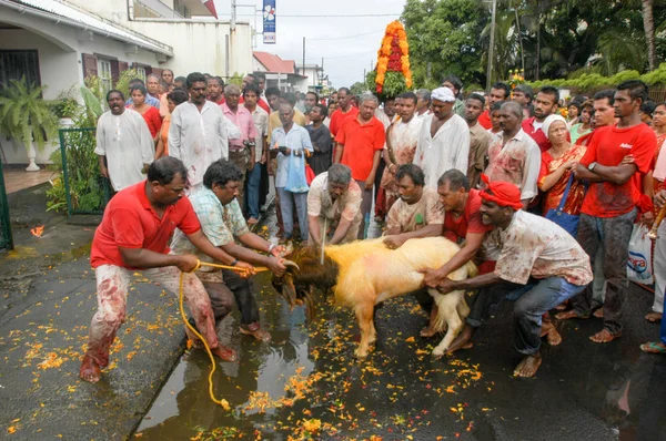 Hindu-Feier der Pandiale bei Saint andre auf La Réunion — Stockfoto