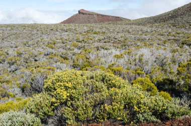 piton de la fournaise volkan 