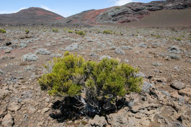 piton de la fournaise volkan 