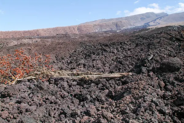 Lavaflöde av La Reunion Island — Stockfoto