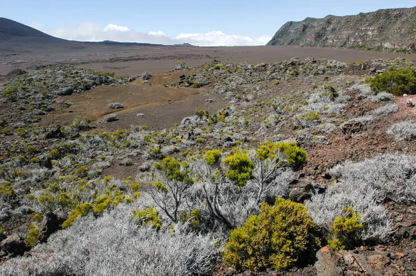 冰锥 de la 活火山 — 图库照片