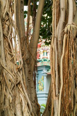 Bir Hindu Tapınağı'nda La sahibi detay 