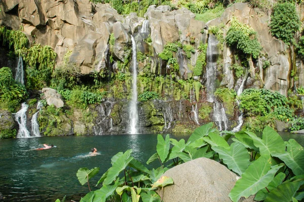 Les Cormorans waterval — Stockfoto