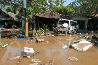 Tsunami Hikkaduwa Sri Lanka, sonra enkaz
