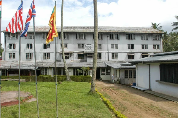 Fábrica de chá Geragama perto de Kandy no Sri Lanka — Fotografia de Stock