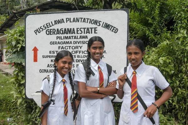 Träd Skolflicka Uniform nära Kandy på Sri Lanka — Stockfoto