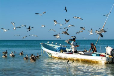 Balıkçı teknesinde beach Holbox Island