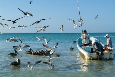 Balıkçı teknesinde beach Holbox Island