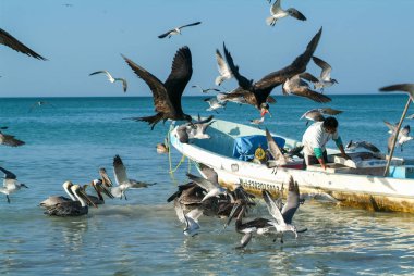 Balıkçı teknesinde beach Holbox Island