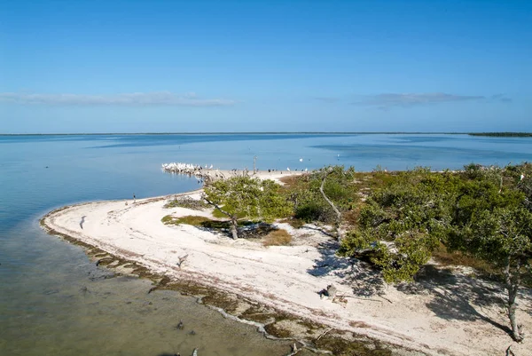 Vögel auf der Insel de los pajaros in Holbox — Stockfoto