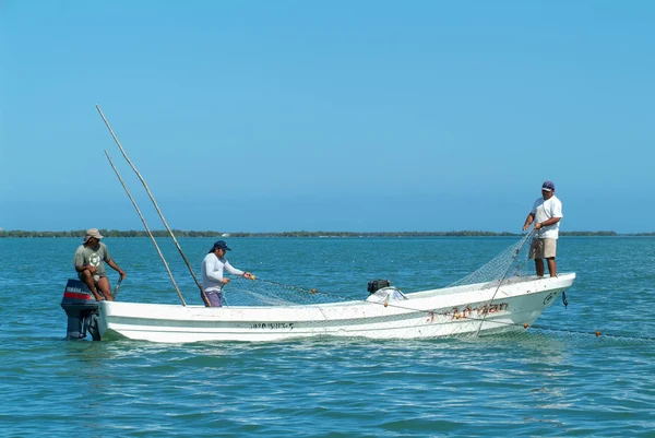 Intrekking van het visnet van hun boot bij Holbox vissers — Stockfoto