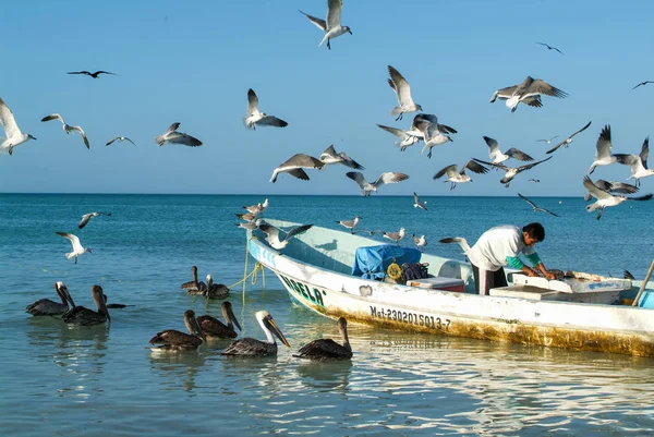 Visser op zijn boot in het strand van Holbox island — Stockfoto