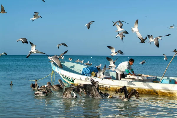Visser op zijn boot in het strand van Holbox island — Stockfoto