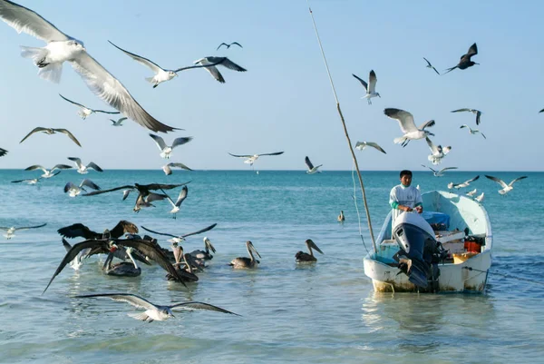 Pescador en su barco en la playa de la isla Holbox —  Fotos de Stock