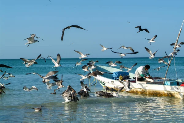 Fiskare på sin båt på stranden av Holbox island — Stockfoto