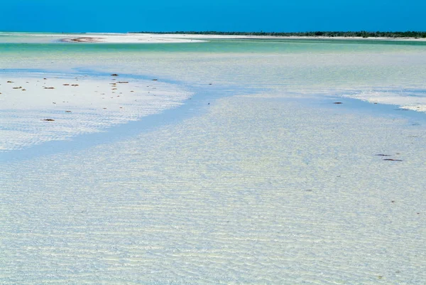 Tropická Pláž Holbox — Stock fotografie