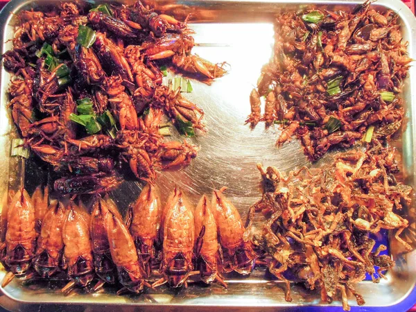 Insectos fritos en el mercado de Khao San Road en Bangkok —  Fotos de Stock