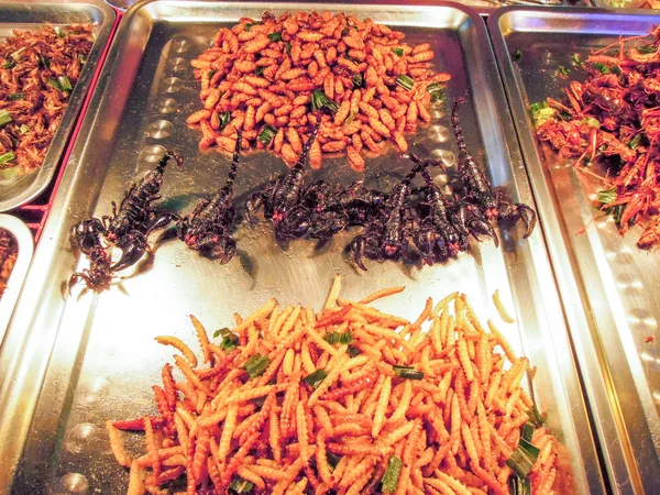 Gebakken insecten op de markt van Khao San Road in Bangkok — Stockfoto