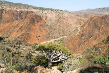 Valley center Sokotra Adası'nda dağlarda