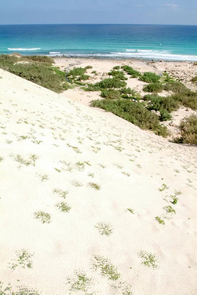 Arher pláž na ostrově Socotra, Jemen — Stock fotografie