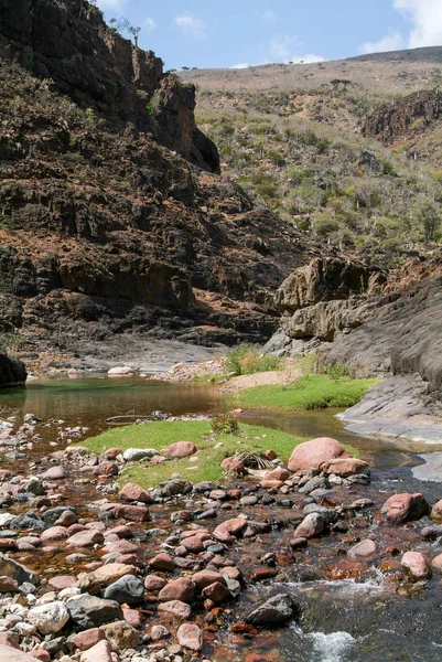 绿洲上的索科特拉岛上的 Wadi Daerhu — 图库照片